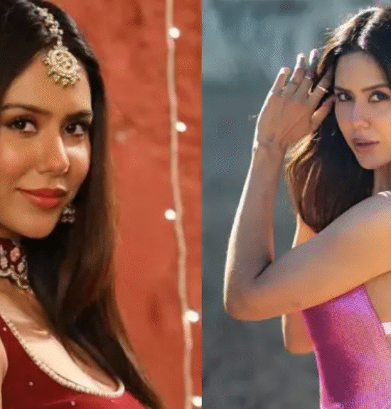 Sonam Bajwa Net Worth