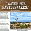 Rattlesnake Lawyer